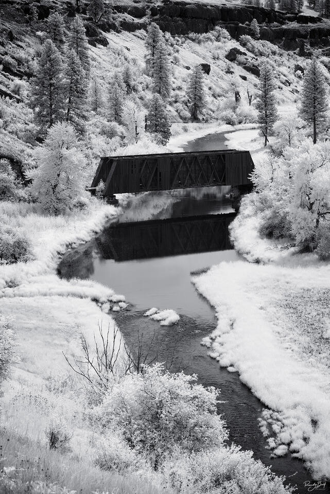 Covered Bridge in Colfax washington using a black and white infrared filter on a full spectrum converted camera.