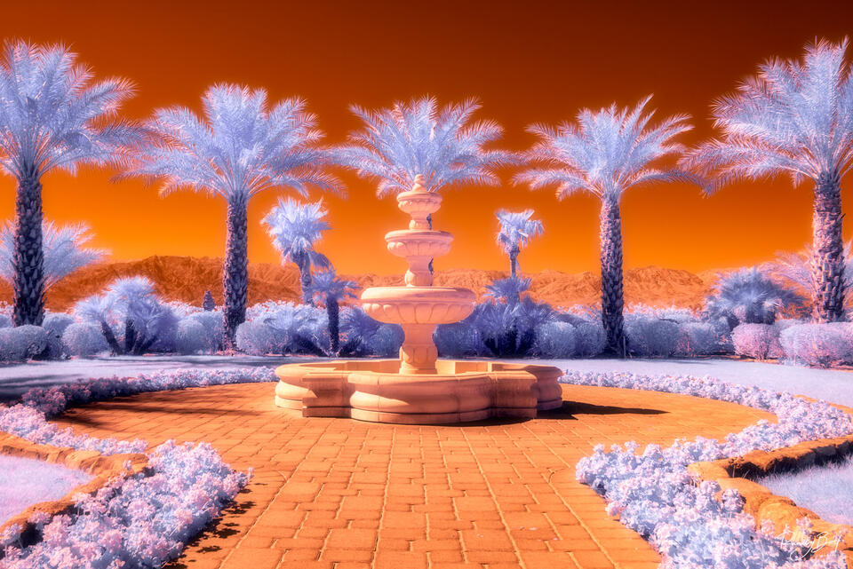 Palm trees and fountain at the Inn at Death Valley hotel.