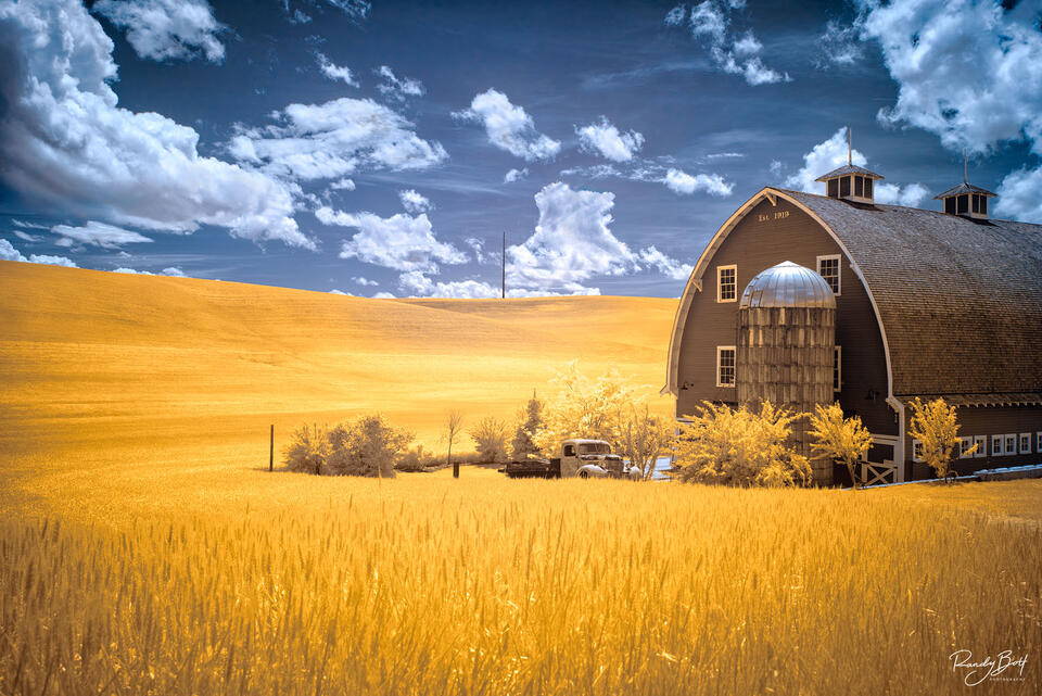 720 nm false color Colfax truck and barn in the Palouse