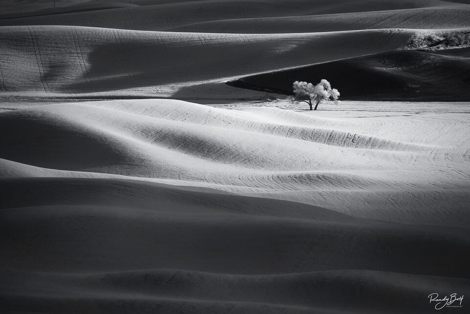 black and white infrared photo of the Palouse from Steptoe butte