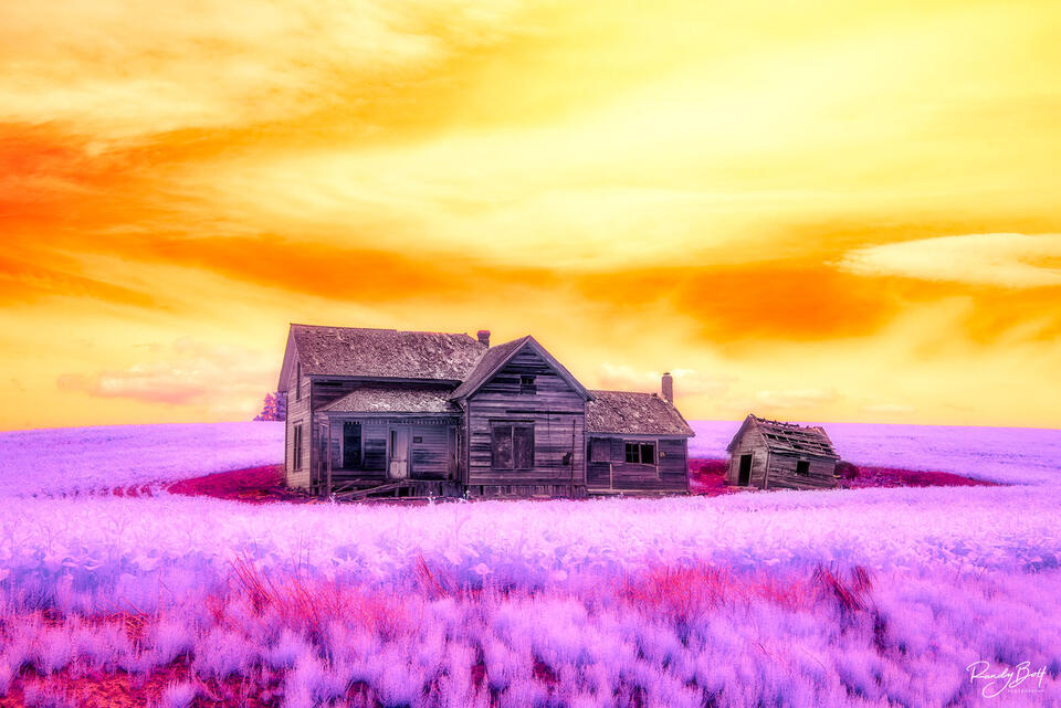 fine art photograph of the Weber Farmstead in the Palouse using a infrared converted camera.