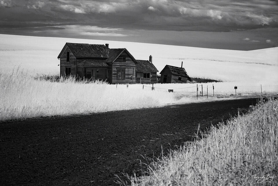 830 nm deep black and white of the Palouse from Steptoe butte